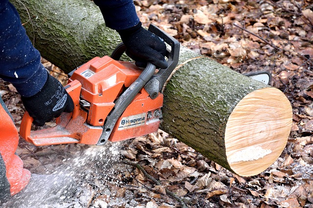 Một lợi ích chính của việc cắt có chọn lọc, là sức khỏe của gỗ có thể được duy trì. Gỗ chết và bụi rậm được loại bỏ, giúp thúc đẩy tăng trưởng và bảo vệ khu vực khỏi cháy rừng. 