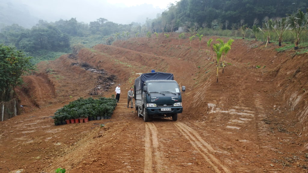 Ecotta đang cải tạo thành vườn rừng đa dạng tầng tán, chuẩn bị chào đón du khách đi bộ, đạp xe trong thảm động thực vật phong phú.