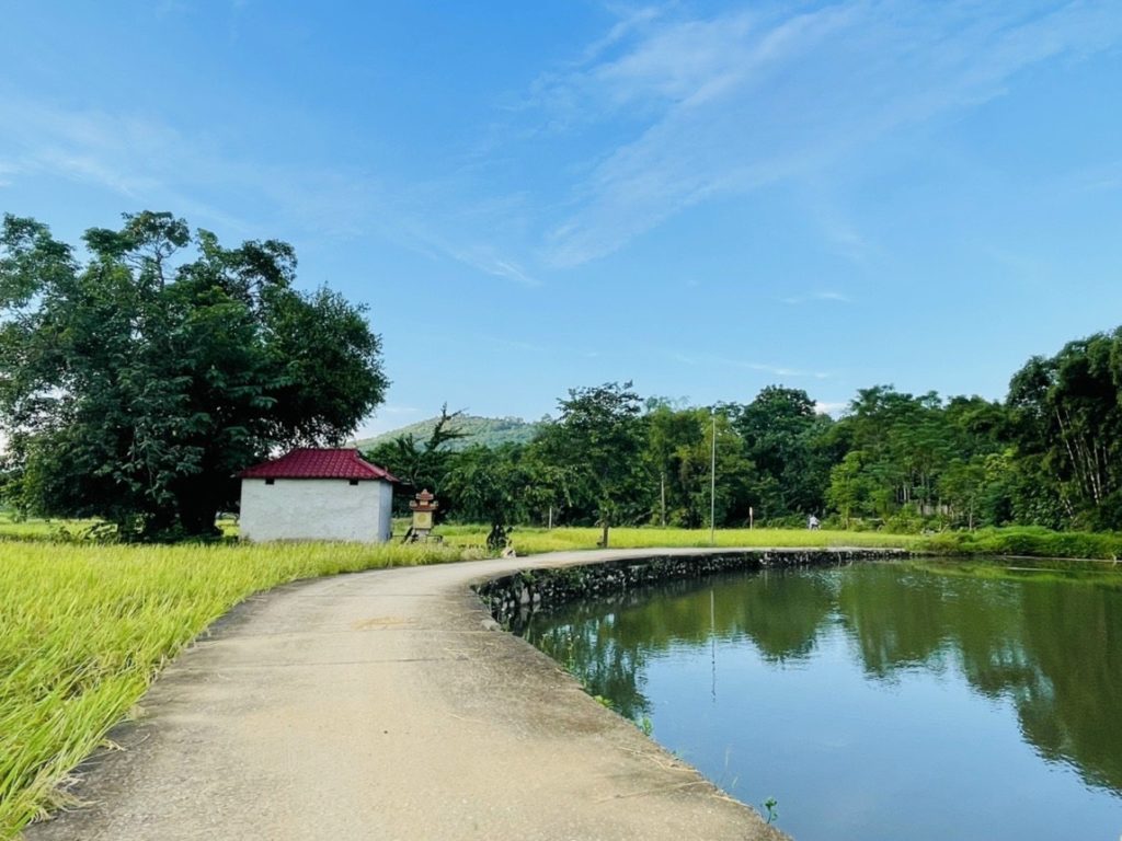 "Đường làng quanh co, sông thu êm dềm, thả diều đá bóng, nắng cháy giữa đồng..." lời ca sống động trong bài "Quê hương tuổi thơ tôi" dường như đang nói về nơi mà chúng tôi những người "bỏ phố về vườn" sinh sống.